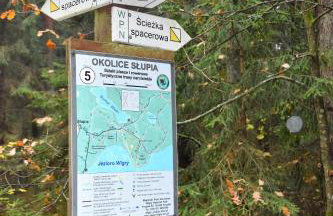 Wigierski Park Narodowy - Foto 39