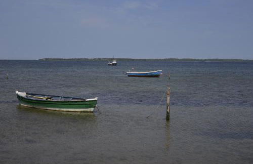 "Haus Landgang" für Naturliebhaber, strandnah, ruhig, mit großem Garten - Foto 44