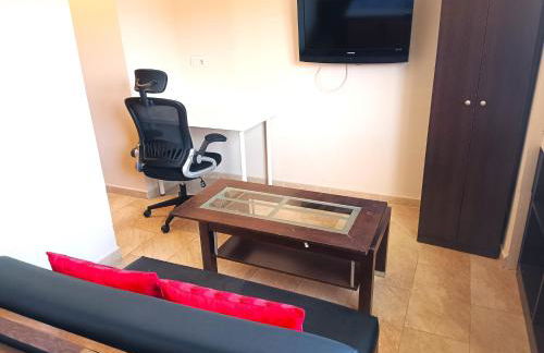 Flamencos del cerrado - Photo 42