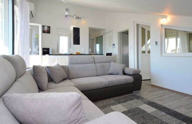 Sun seeker - Photo 6