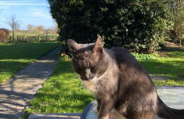 Haus am Reithmoor - Foto 29