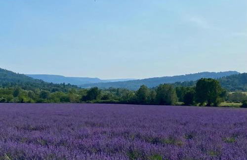 Maison de village, piscine, Colorado - Foto 36