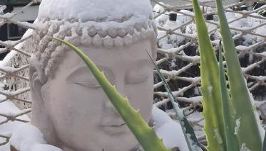 Schwarzwaldloge Zeitlos - Foto 4