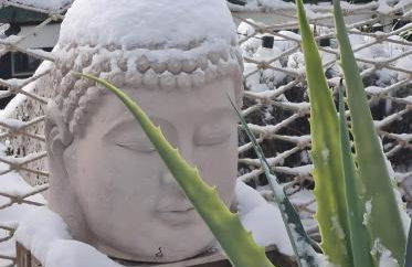 Schwarzwaldloge Zeitlos - Foto 4