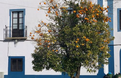 The Palm Tree House Alentejo Private swimming pool 6 suites Iconic Palm tree - Foto 32