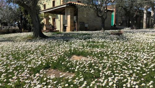 Agriturismo Villa Vetiche - Foto 3, Garden