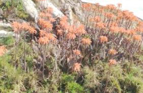 Casa rural El refugi platja d'aro 4 - Foto 50