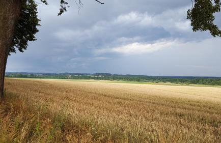 Brzozowa Polana - Foto 62