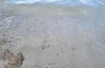 Stacja Mazury(Masuria Station) - Foto 51