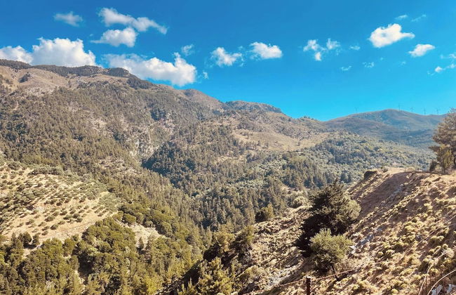 Travellers And Hikers Delight 2, Next To Sougia - Foto 46