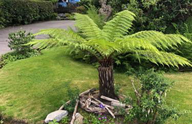 Bay View Cottage - Foto 38