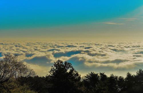 Ιξός Home - Photo 66