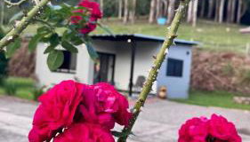 Casa do Bem Estar Picada Café - Foto 5