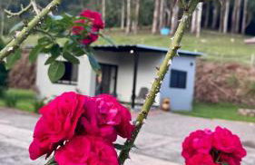 Casa do Bem Estar Picada Café - Foto 5