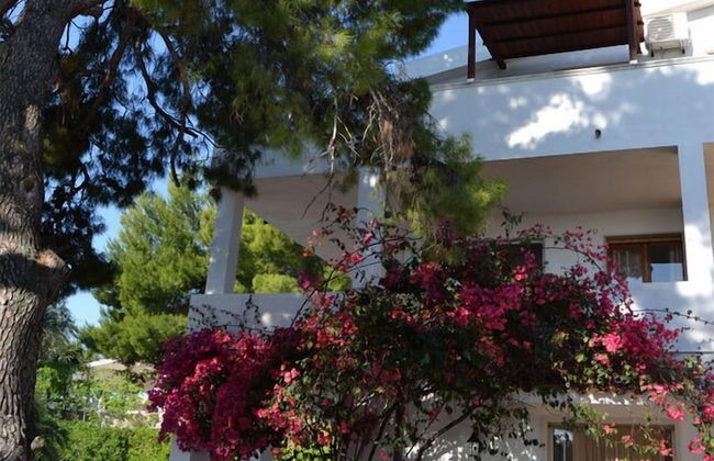 Residenza Collina dei Pini - Foto 51