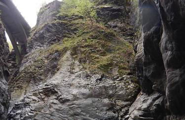 Ground floor apartment with garden - Foto 16