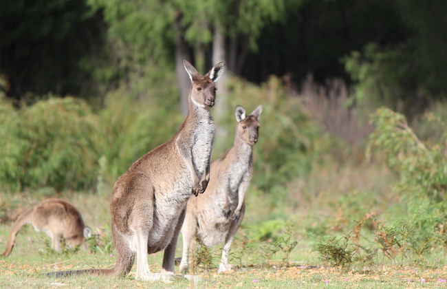 Marima Cottages - Photo 20