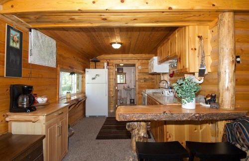 Remington Retreat by KABINO Dog Friendly FirePit Sleeper Sofa WiFi Grill - Foto 5