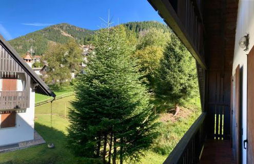 Casa vacanze Ravascletto - Foto 15