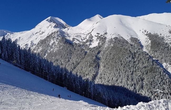 Apartment Belvedere 43 - Photo 27