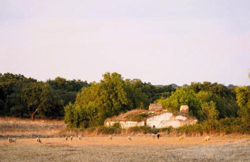 Monte dos 2 Tanques - Foto 32