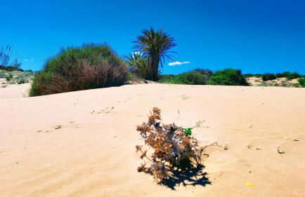 Spanish Apartment With pool - Foto 21