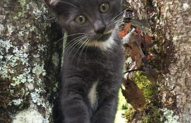 La Maison Imparfaite - Foto 44