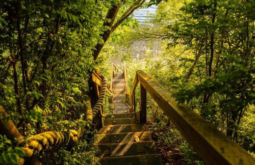 Beach Access and Views Secluded Anderson Island Gem - Foto 37