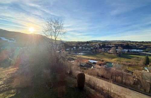 FeWo Aloisius im Allgäu - Hunde willkommen, Workation & Westbalkon, inkl Königscard - Foto 28