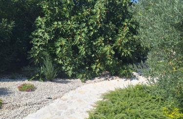 Casa dell ´amore - Foto 38