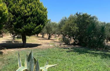 Olive House near the sea - Foto 19