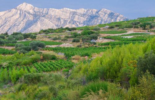 Holiday Home Biserka - Photo 16