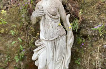 Pequena Casa rústica com piscina - Foto 39