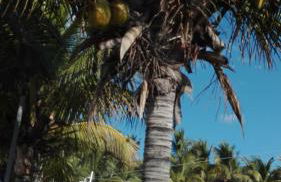 Casa Yaiza - Foto 26