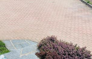 Dietro L'angolo - Foto 6