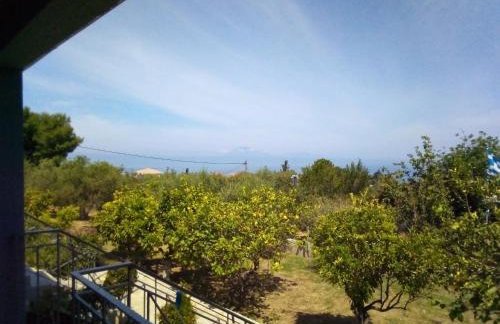 Panorama Rooms - Foto 36