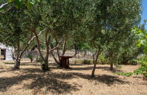 Apartmani Sandra - Foto 38