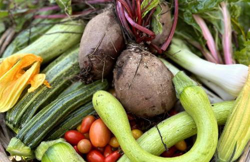 Agriturismo Fattoria Walden - Foto 33