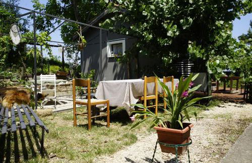 PODERE Sant'Anna B&B -Bambù room - Foto 21