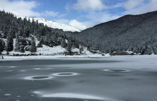 Gîte chaleureux au lac de Payolle - Foto 19