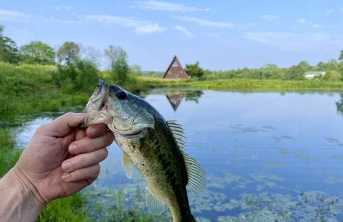 Cozy 2BR A-Frame Cabin w Hot Tub & Lake Views - Foto 12