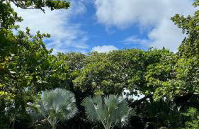 Pousada Rio das Onças - Photo 25