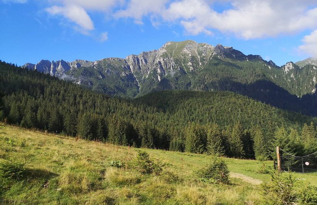PRIVATE, EASY Day Hike in Carpathian Mountains - Photo 9