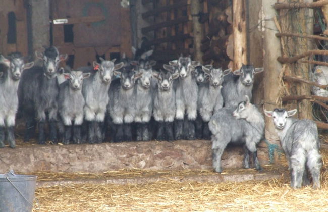 Vumba - The Alembic - Foto 36