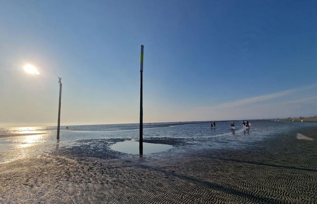 Aalernhus Residenzen in St.peter-ording - Photo 43