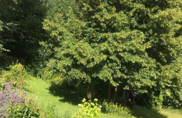 Ferienhaus Rotzinger - Foto 37