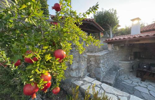 Terra Petra Villa at Psari Trikolonon Gortynia - Photo 52