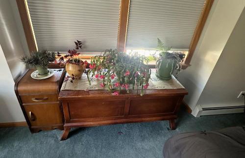 Private 5-Acre Escape - Pool, Lake & Gardens - Foto 15