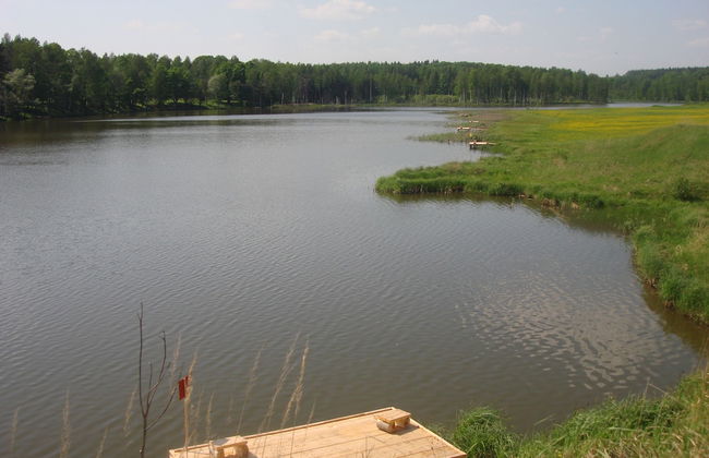 Far Cordon - Photo 10