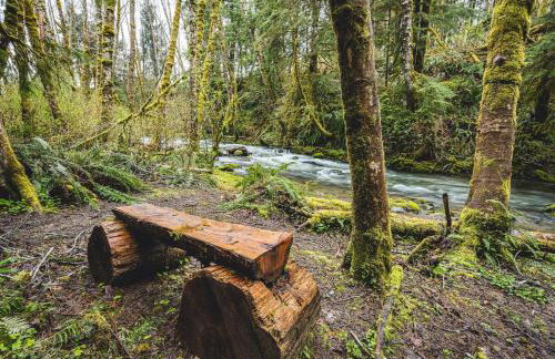 ElkCreek Inn Creekside tiny home - Foto 19